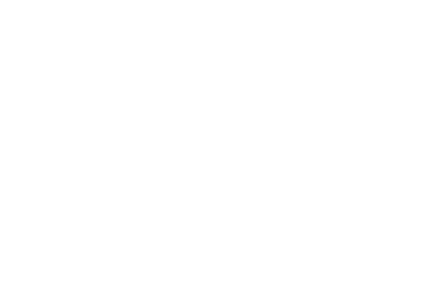abou al zouz