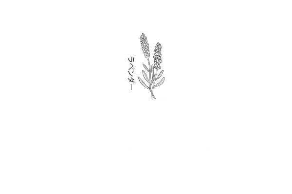rabenda